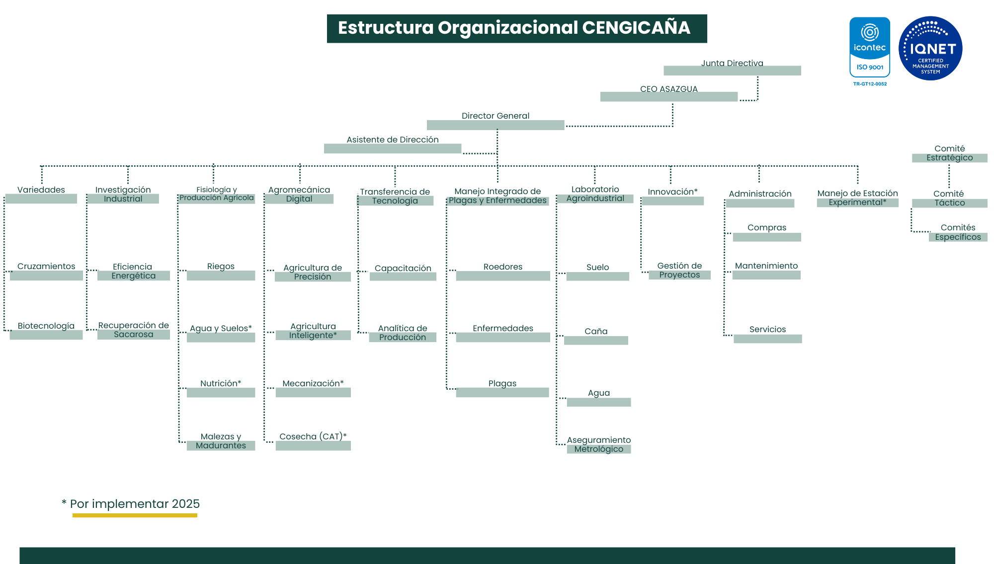 organigrama