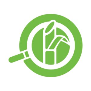 Redacción Cengicaña